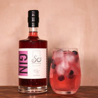 Nordic Blueberry Gin